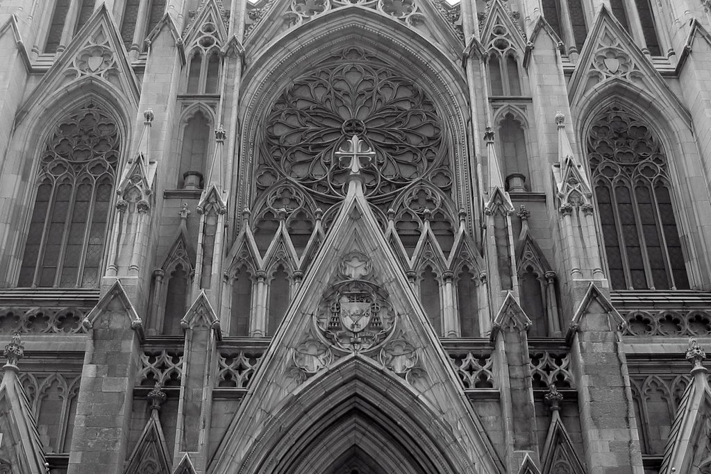 Saint Patricks Cathedral by Doug D