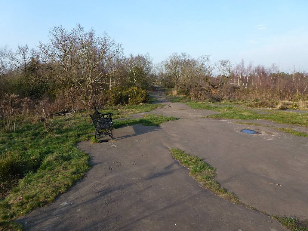 View On Bidston Hill by Peter Hodge