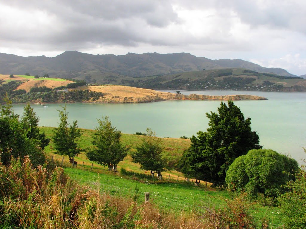 Akaroa Harbour by mekja