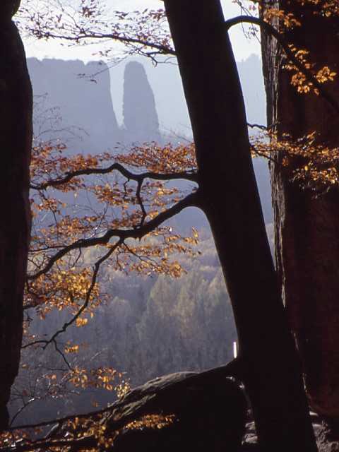 Blick vom Neuen Wildenstein (Kuhstall) zum Bloßstock by Volker Döring