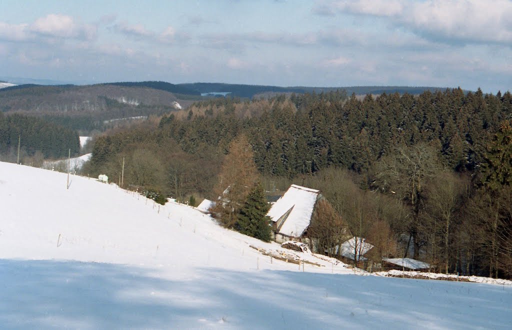 Meinerzhagen, alter Bauernhof in Schürfelde, 04.02.12 by der Volmetaler