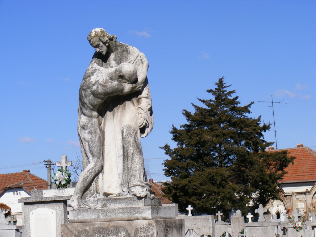 Monument funerar in cimitirul catolic din lugoj by stelian szana