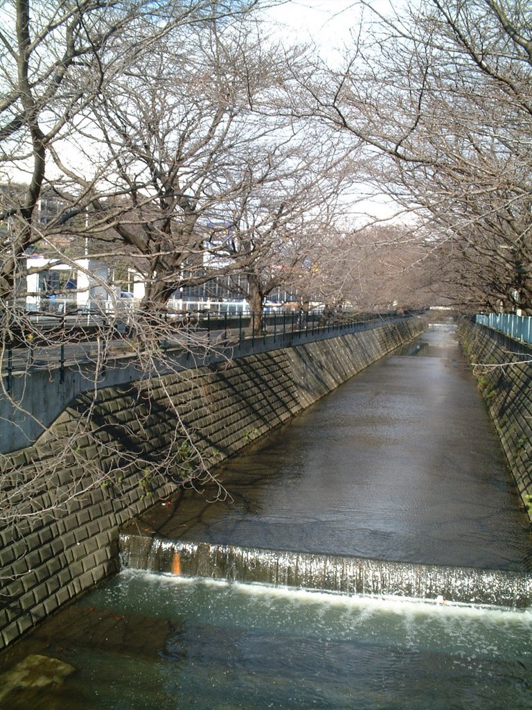 2007.12.30 麻生川にかかる橋より from a bridge of Asao-Gawa(River) in winter by 大塚スバル