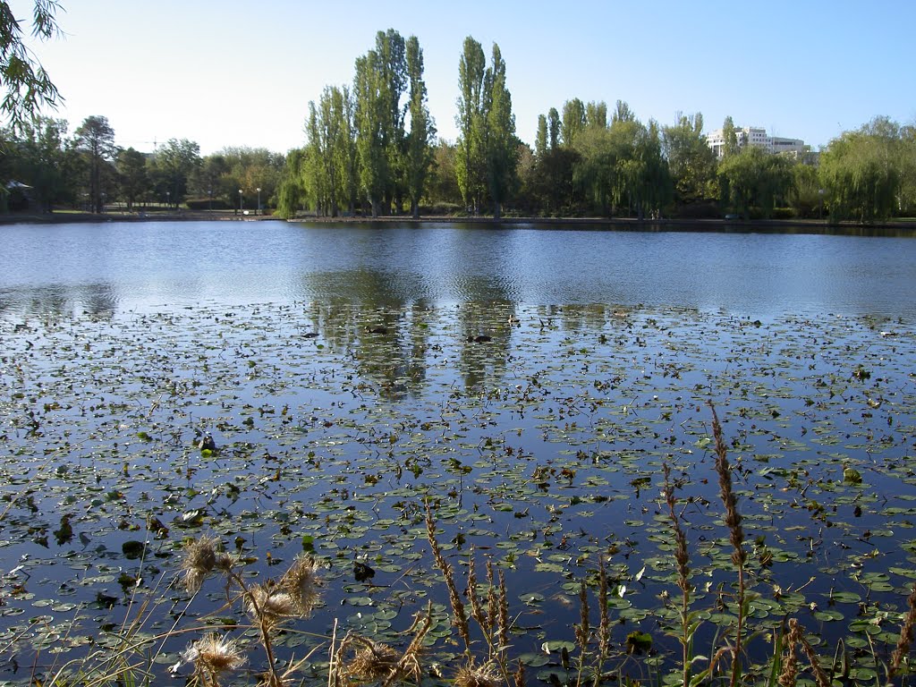 Parque en Camberra, Australia. (Estepa 32). by Estepa32