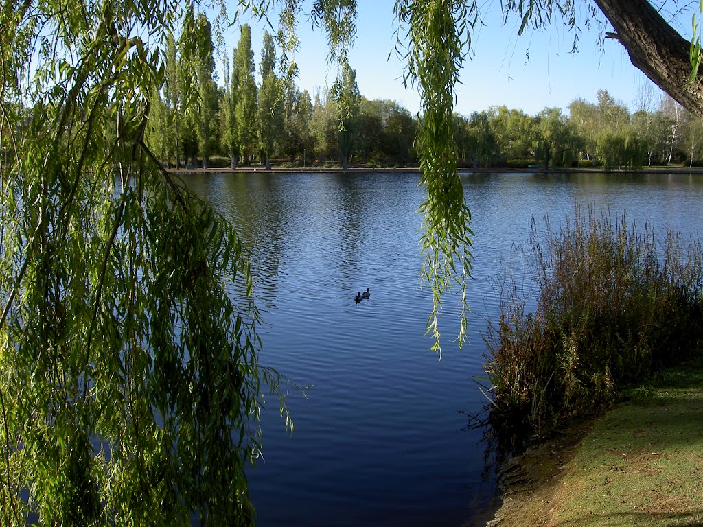 Parque en Camberra, Australia. (Estepa 32). by Estepa32