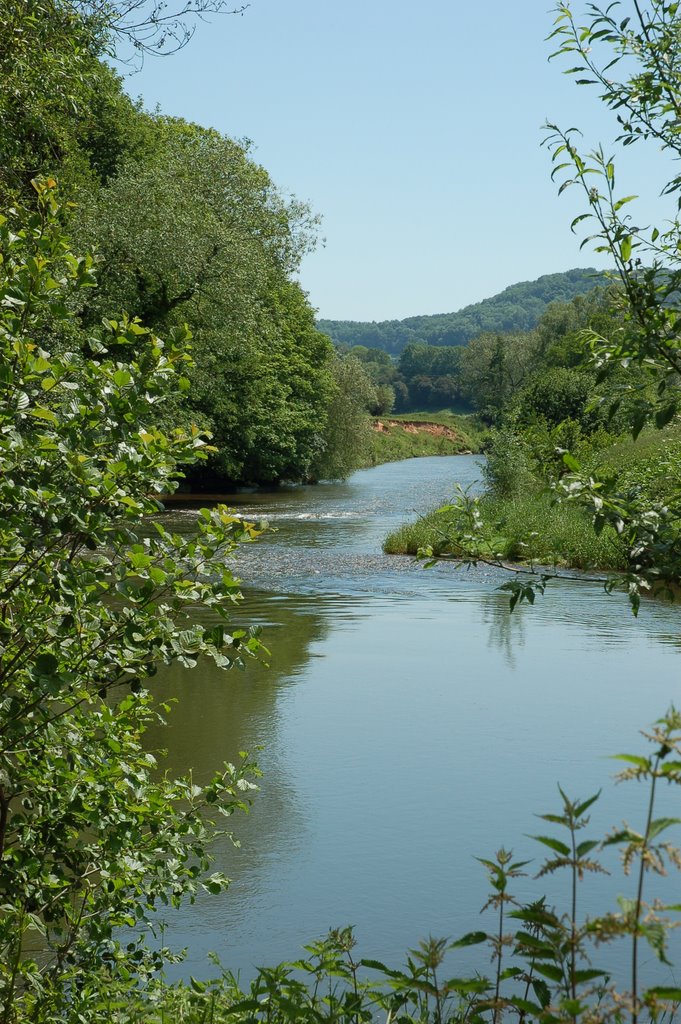 River Teme in June by Nick Edwards