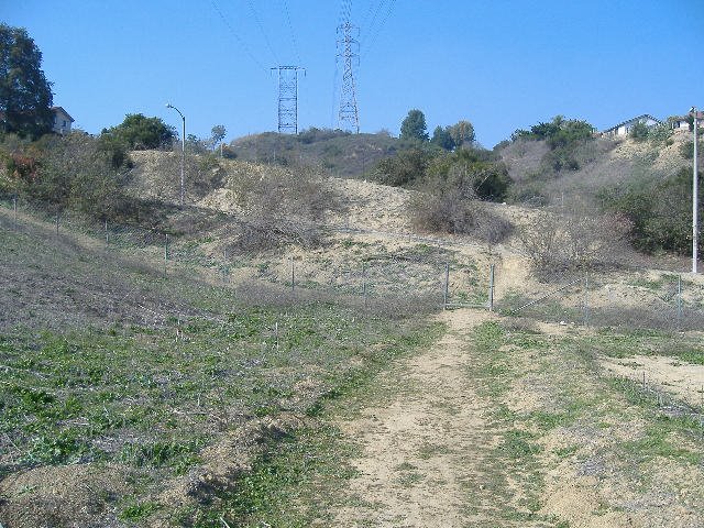 Trail near Turnbull Canyon by luis.maturana