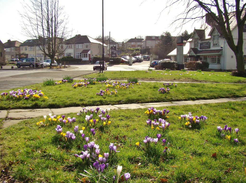 Looking over Crocus towards Manchester Road and Benty Lane, Manchester Road, Sheffield S10 by sixxsix