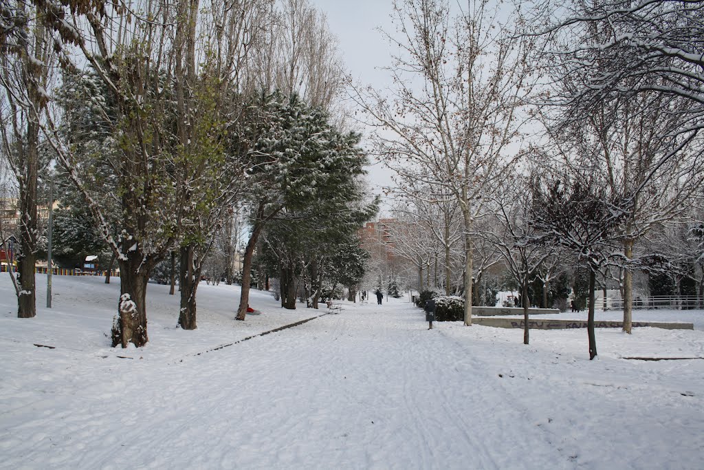 Parque de la Paz by Irene - Ramón