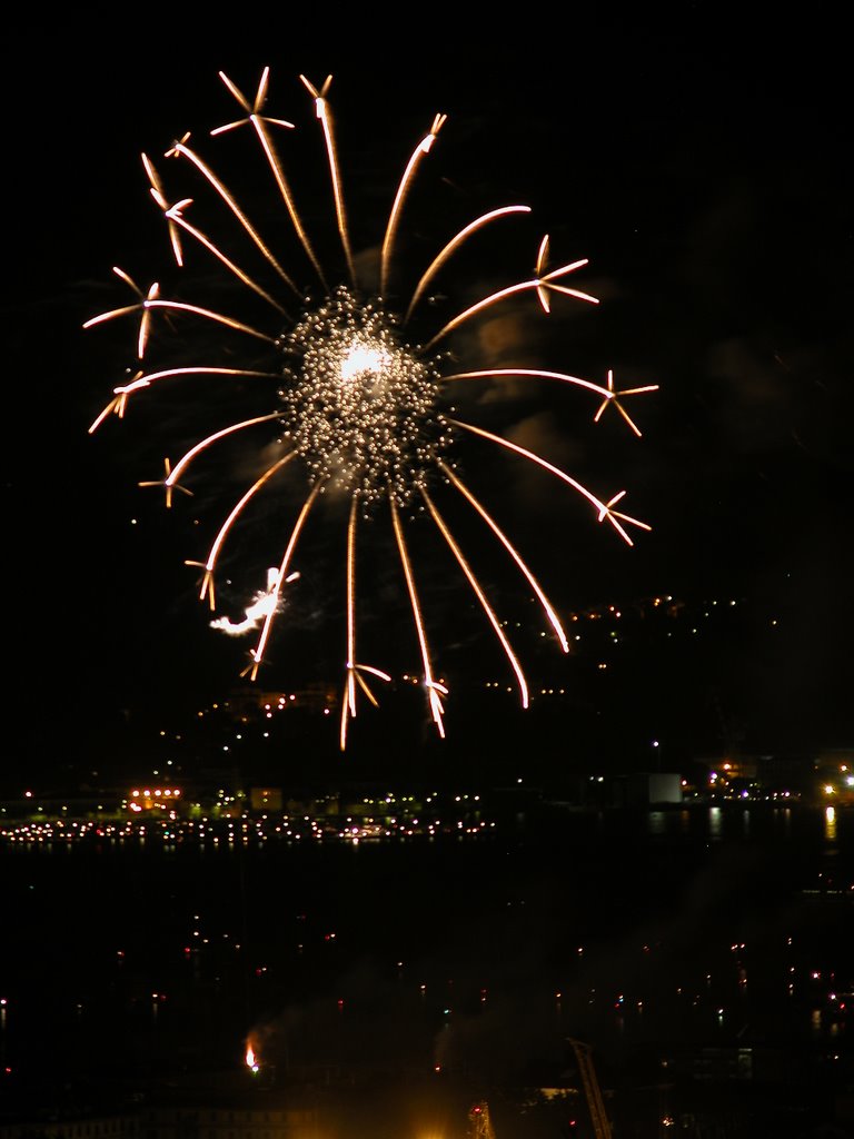 Fuochi d'artificio la spezia by roberto venturini