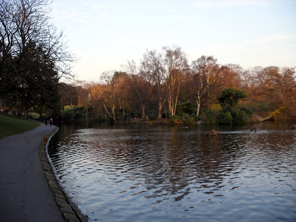 Boating Lake, Sefton Park, Liverpool by Nick Gent