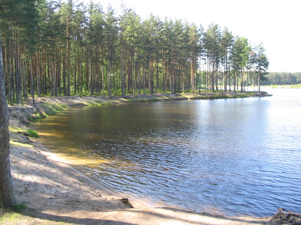 Old sand-pit near railway station "19 km" by vgivanov