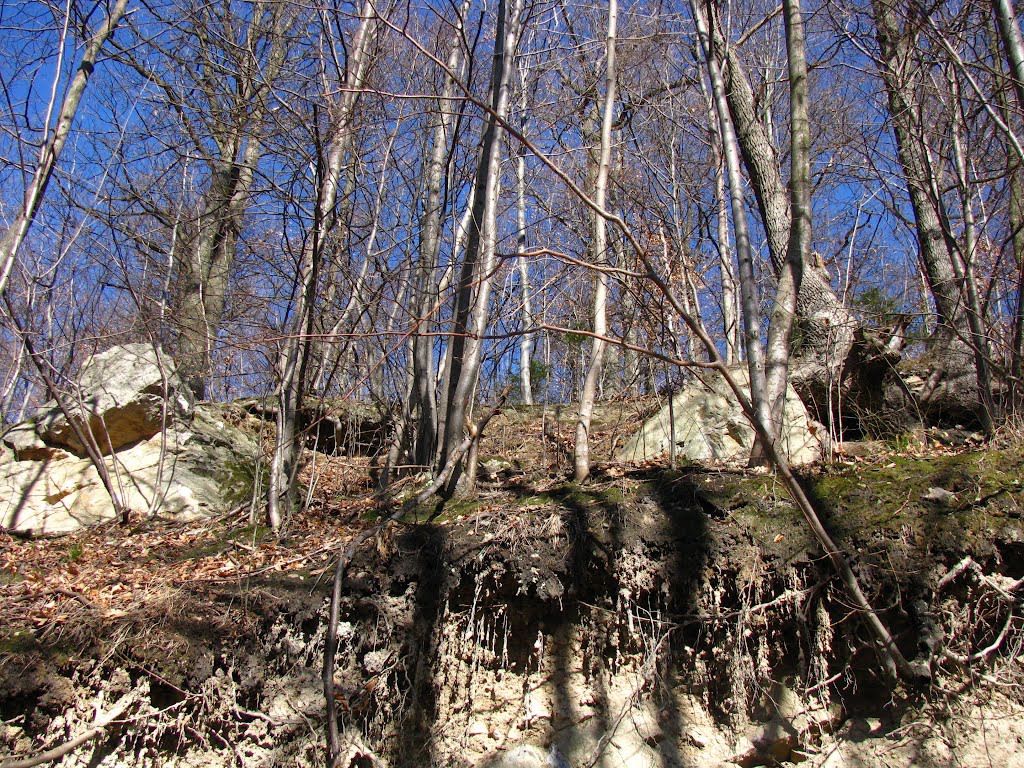 Grzegorzowice. Wychodnie skalne. by Danuta Haraf