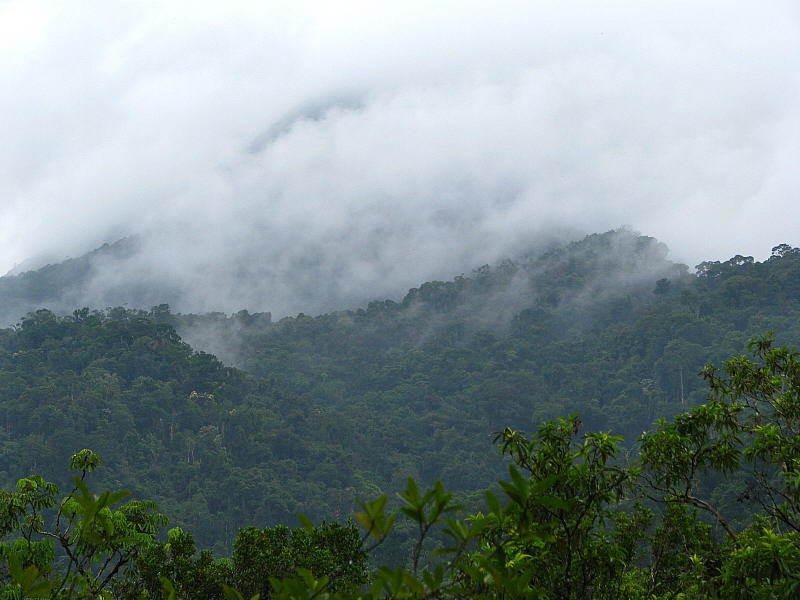 Cloud on mountains at Mossman Gorge by tanetahi