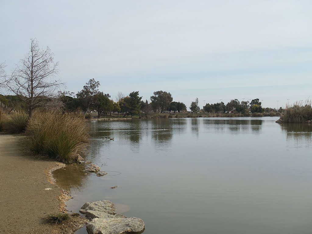 Etang de Saint Estève by Pierre M.