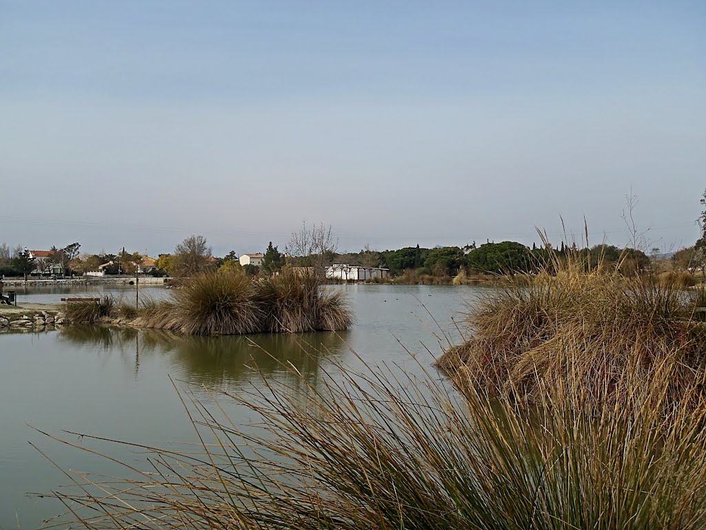 Etang de Saint estève by Pierre M.