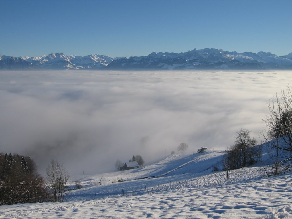 ORN near Wald, Sea of Mist - Grey below, Blue above 20-12-07 by cvogt