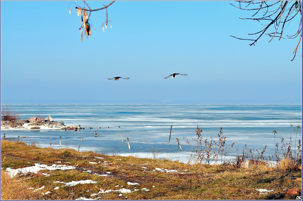 Balaton by Osváth Károly