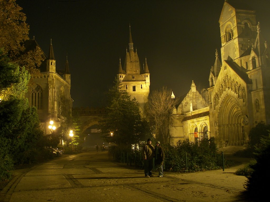 PALACIO Y CASTILLO (nocturno) by extremeño