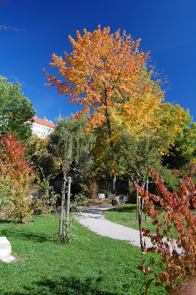 Goldener Herbst im Alpenfön by Michael Dolze