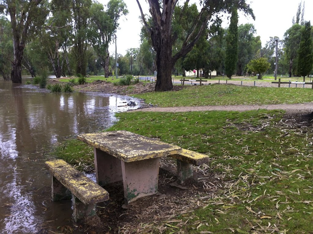 Yet again the Wagga Beach Caravan Park slowly submerges: 7.03m; 3.62m to go to the peak, Floods 2012 by snucklepuff