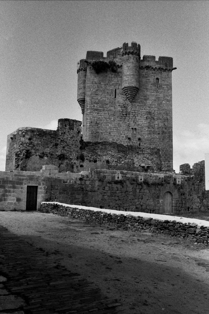 Castillo de San Felices de los Gallegos by Javier Jiménez