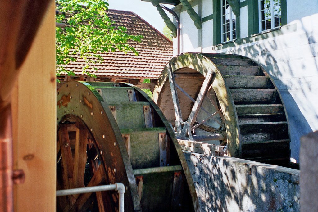 Lützelflüh / old Mill by Alfred Mueller