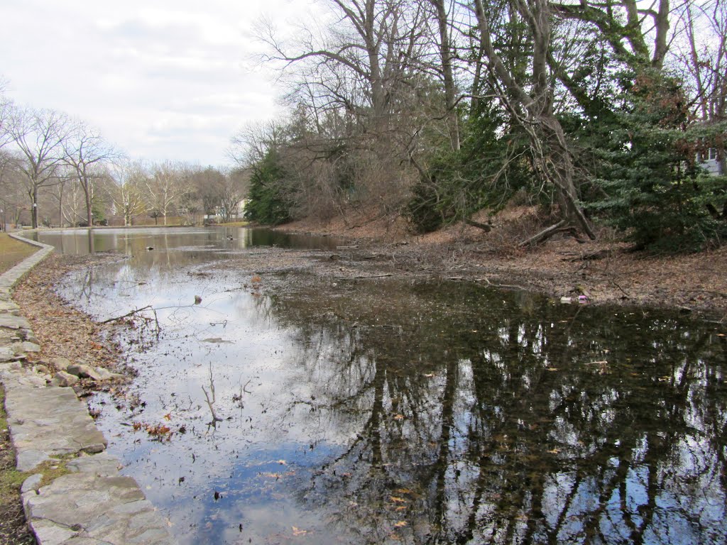 Pond by Adam Elmquist