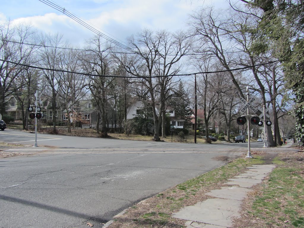 Highfield Lane Crossing by Adam Elmquist