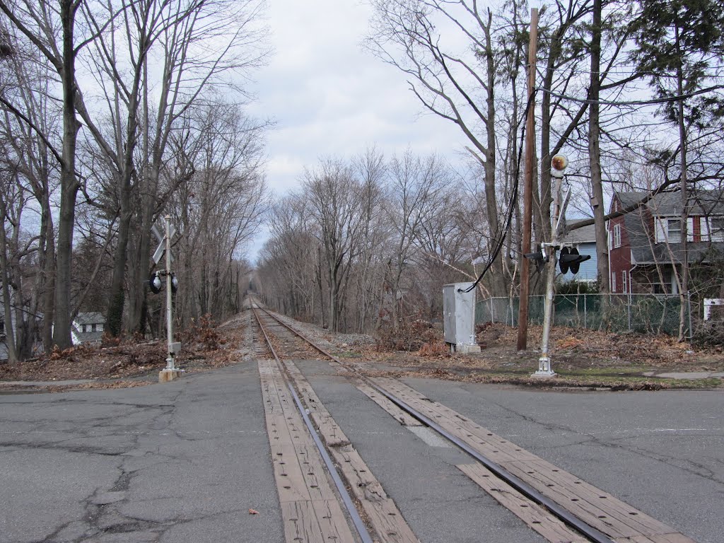 Highfield Lane Crossing by Adam Elmquist