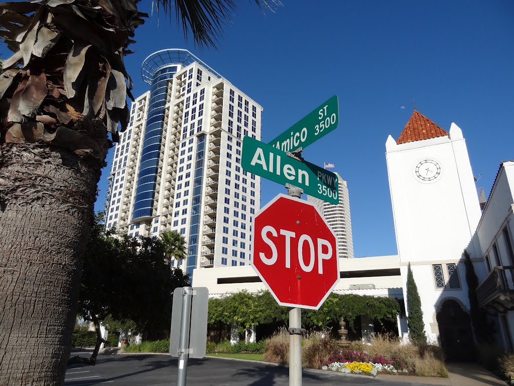 D'Amico St at Allen Parkway by Wolfgang Houston