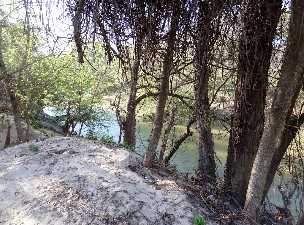 Buffalo Bayou seen from river bank covered with sediment from flooding by Wolfgang Houston