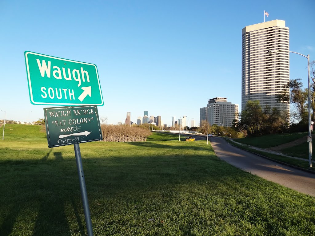 Bat Colony Exit (Waugh bridge) by Wolfgang Houston