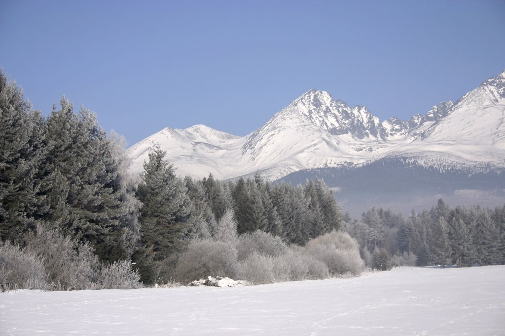 Near Hight Tatras by Winter by Kevorkyan