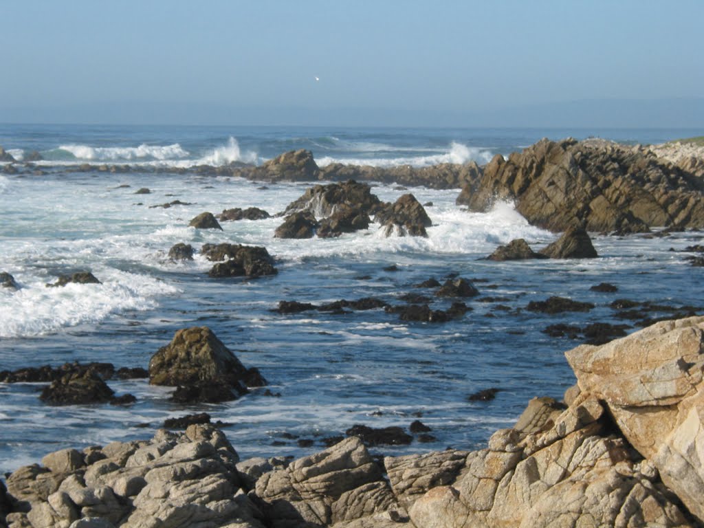 Pebble Beach, Monterey by plumgarden