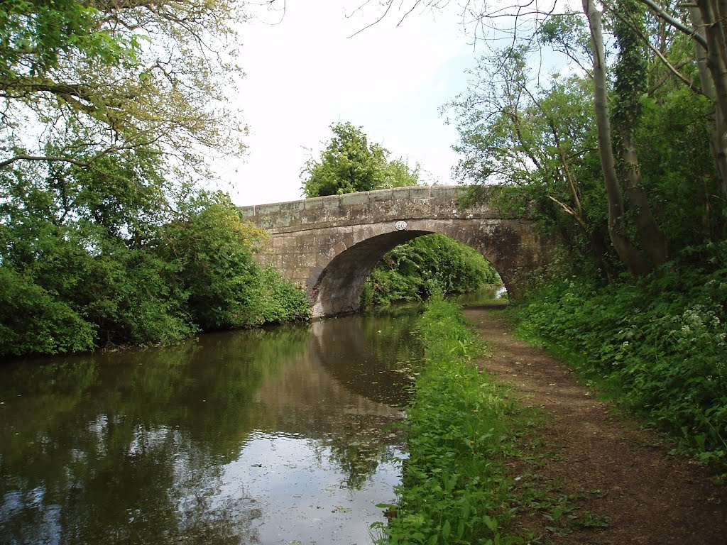 Ashby Canal - Bridge 60 by leepd60