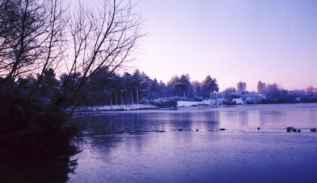 Sherwood Center Parc Lake by pippylongstocking