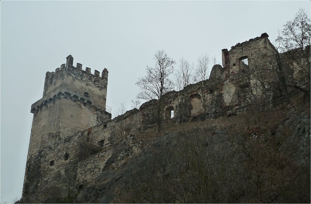 Ruine Weitenegg by Steidl Normann