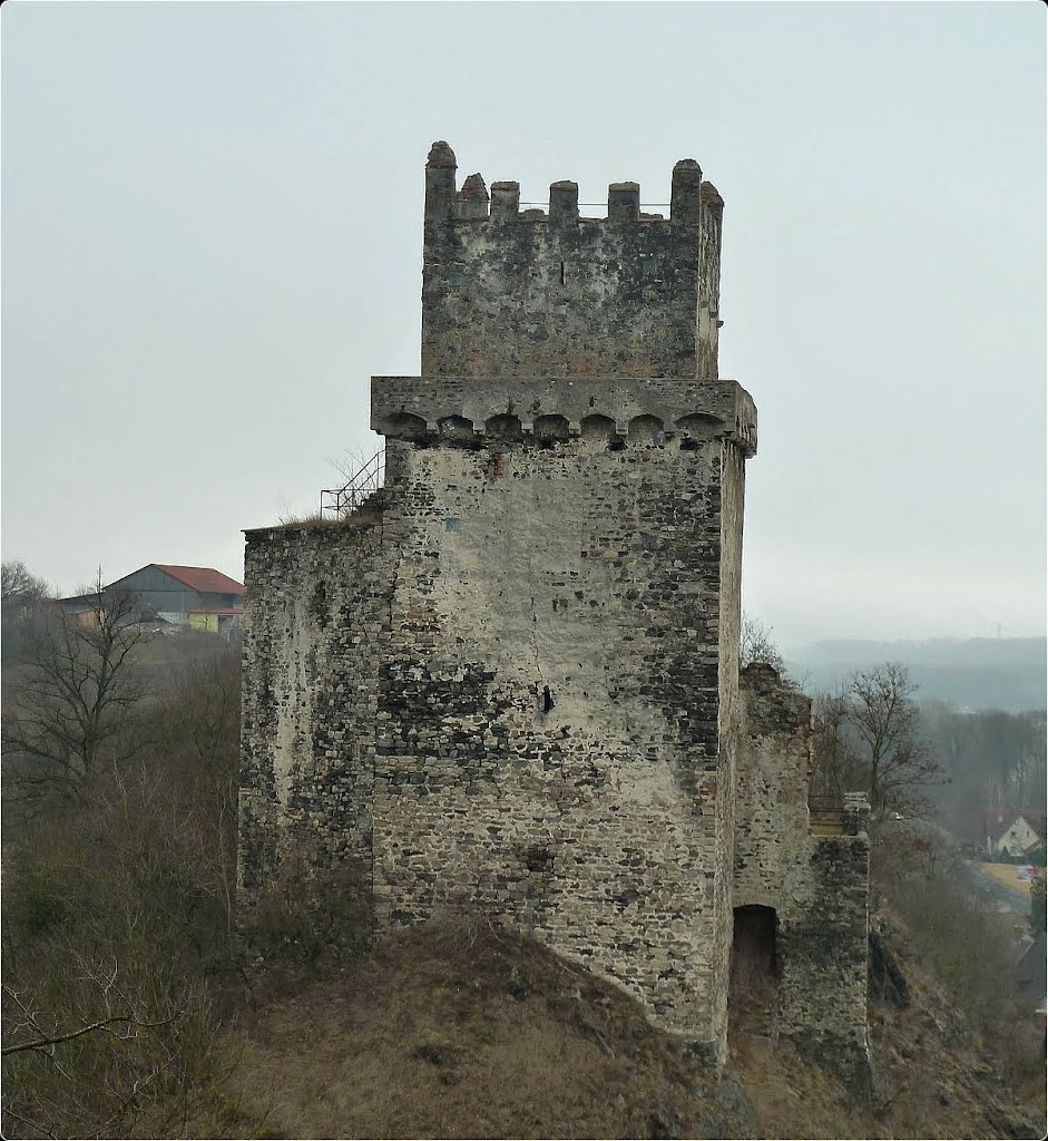 Ruine Weitenegg by Steidl Normann