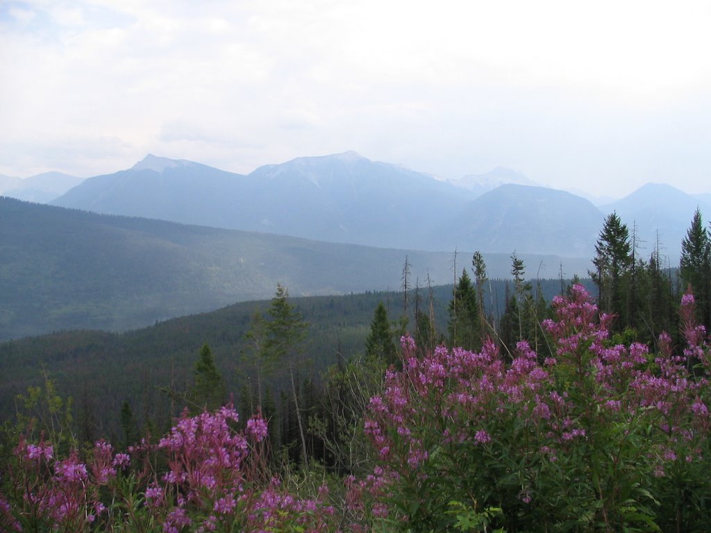 Kootenay Crossing ,A.B. by tahirtle