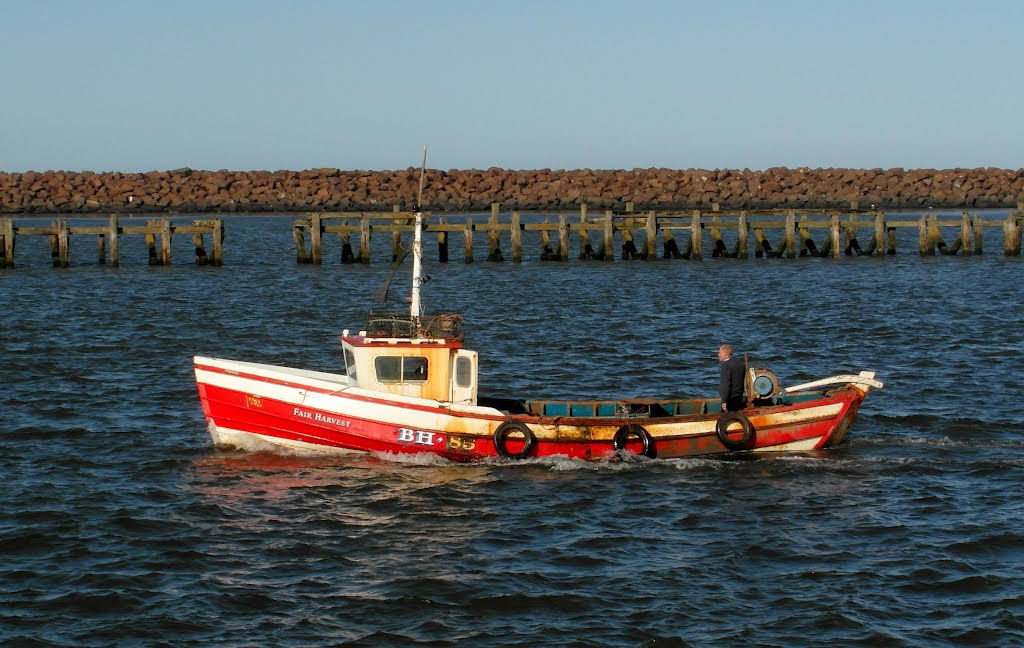 Fair Harvest on the River Coquet - Amble harbour - 03/12 by Joe Percy