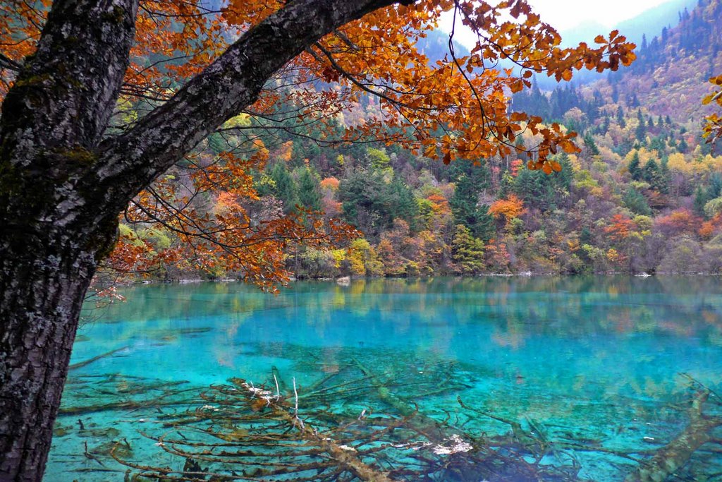 Five-Flower Lake, Jiuzhaigou, Sichuan, China by peterwong@mss.edu.hk