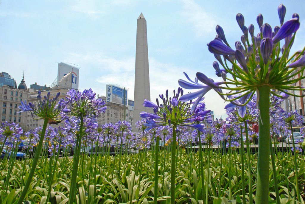 Obelisco florecido by qepd