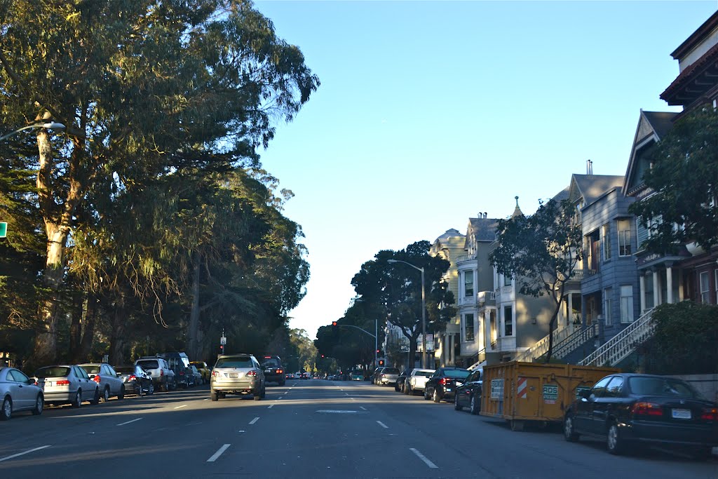 Near Golden Gate Park by Buddy Rogers