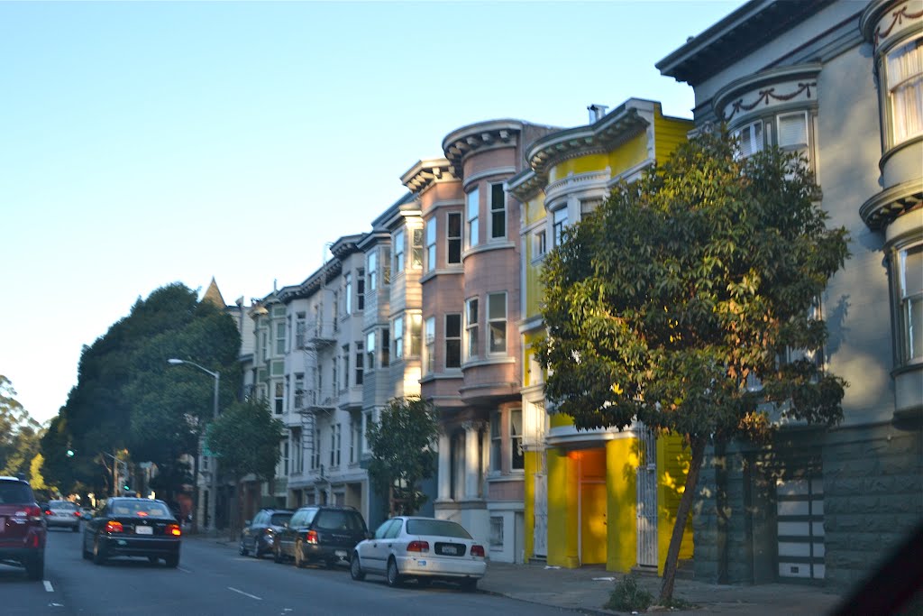 Near Golden Gate Park by Buddy Rogers