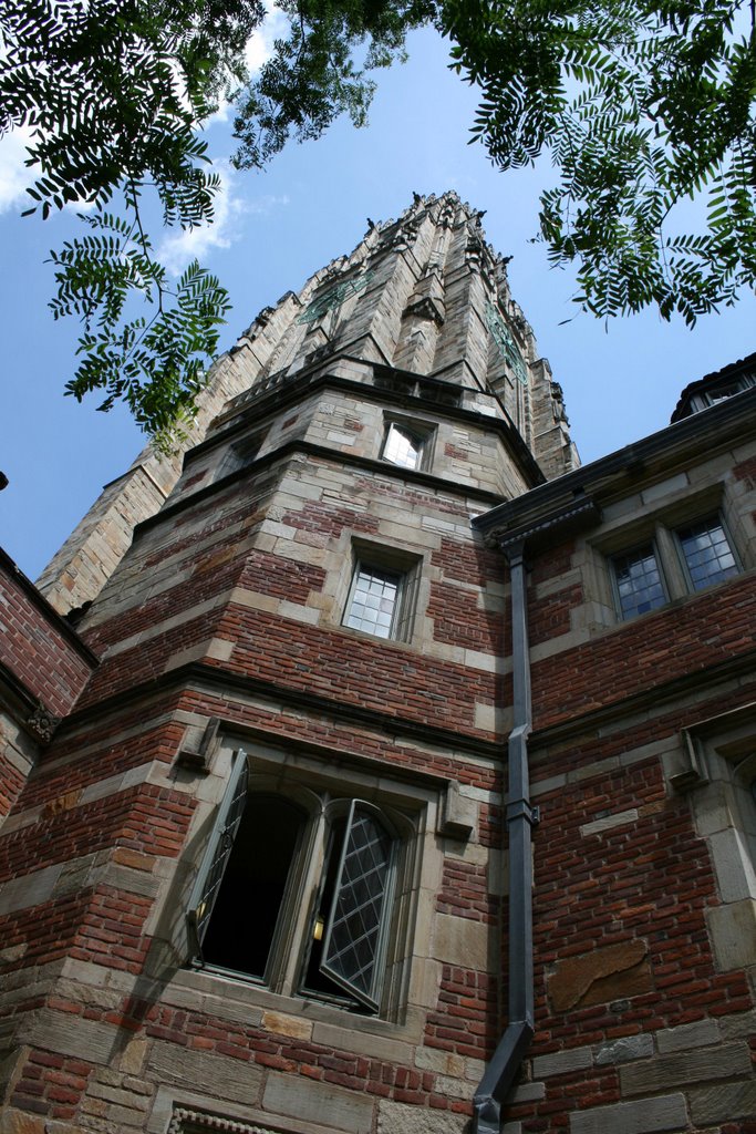 Harkness Tower Yale by Carlo Banchelli