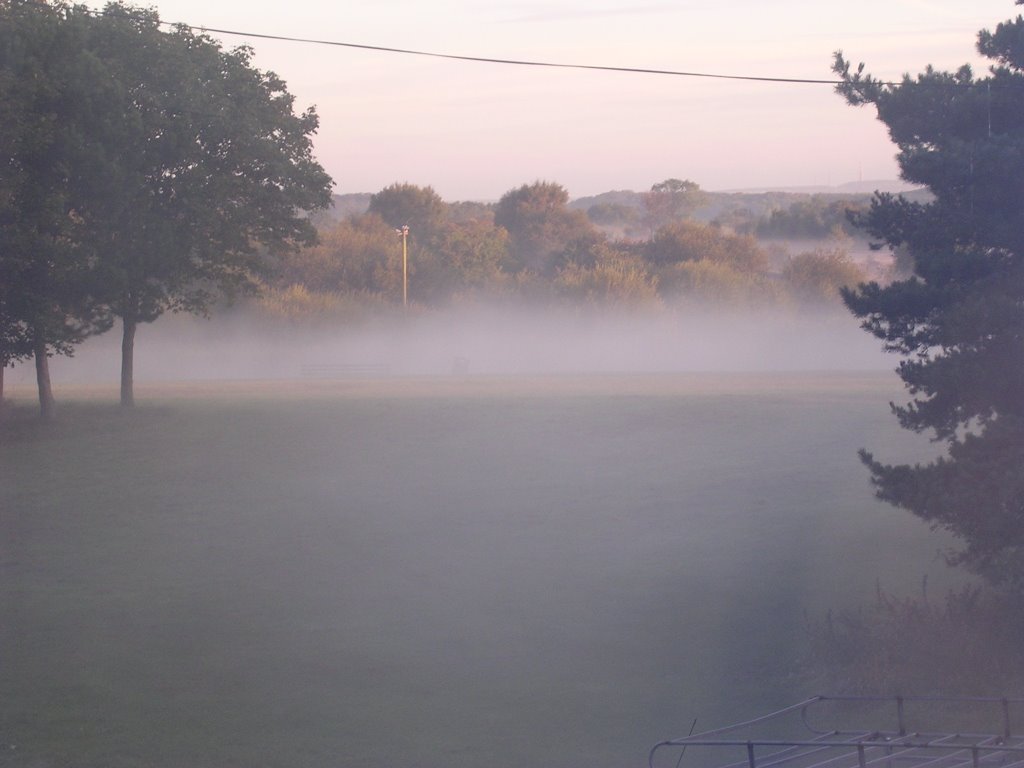 Early morning on Pelsall North Common by morbach