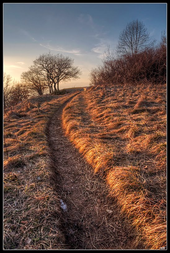 Trail by wx