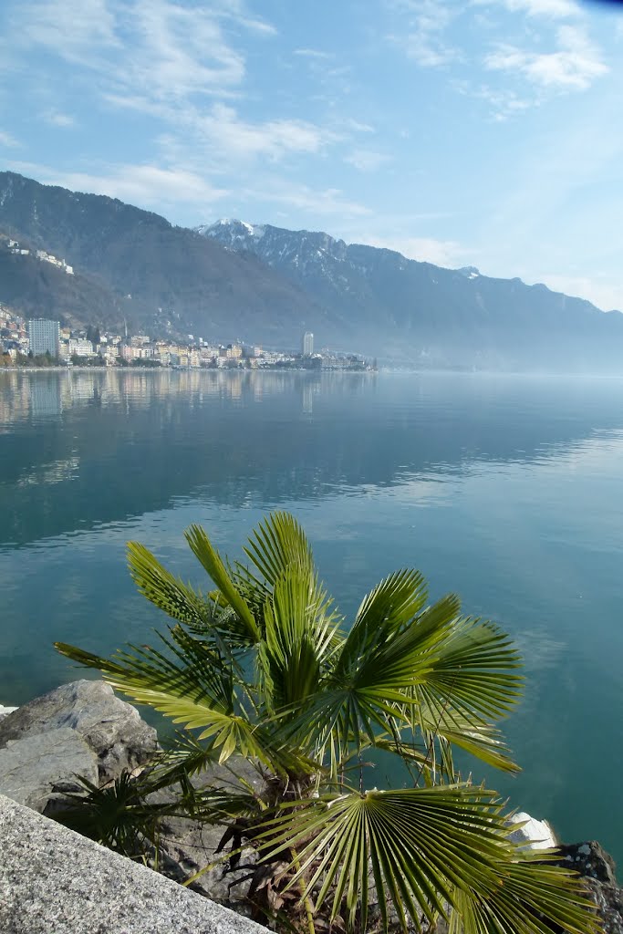 Montreux et la riviera by Magda GHALI