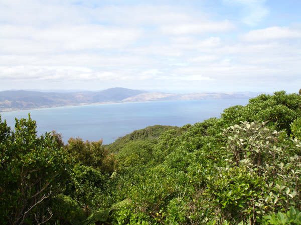 Kapiti Island New Zealand by Dr. Vihara Walawwe J…